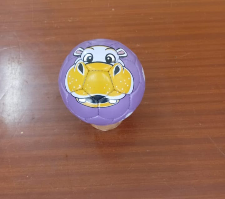 Animal Print Football - Size 1 